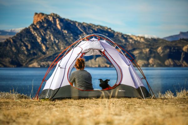 Astuces Pratiques et Originales pour Camper Heureusement avec Vos Animaux de Compagnie