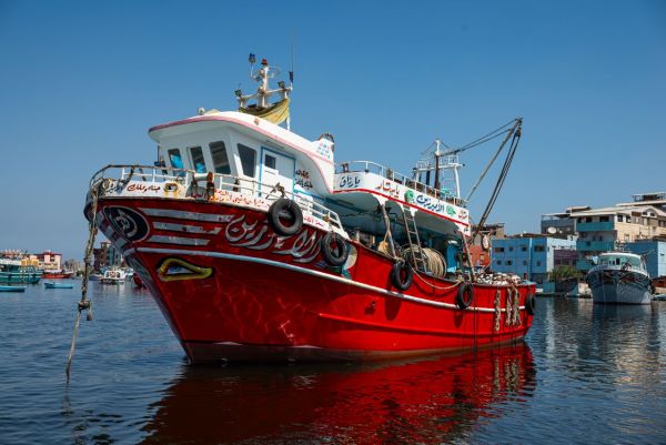 Aventures Inoubliables sur le Nil et Croisières Fluviales à Explorer Absolument
