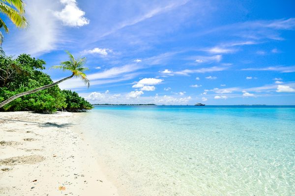 Voyage d'exception : vos aventures haut de gamme à vivre